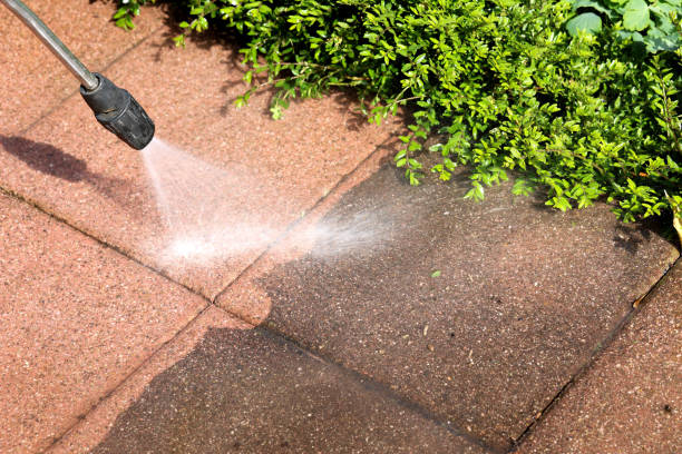 Best House Pressure Washing  in Stamps, AR