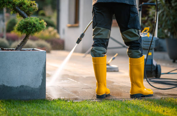 Best Pressure Washing Near Me  in Stamps, AR